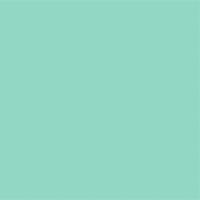 Avery 900 brillant 965 menthe adhésif permanent 1230 mm x 25 m(965/1.23)