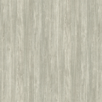 Film décoratif extérieur Béton Coala Interior film  EXT - Z17