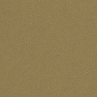 Papier Curious Metallics Chartreuse 120  g/m²  700 mm x 1000 mm