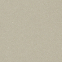 Papier Curious Metallics Eucalyptus 120  g/m²  700 mm x 1000 mm