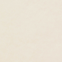 Papier Curious Translucents Color Perle 200  g/m²  700 mm x 1000 mm