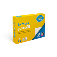 Ramette de Papier A4  100  g/m²  Data Copy Premium Paper Blanc