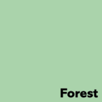 Papier Couleur Forest/Vert 80 g/m² SRA2 Image Coloraction