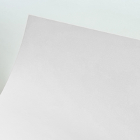 Papier Opale Wove Pure White 80g/m² 450 mm x 640 mm