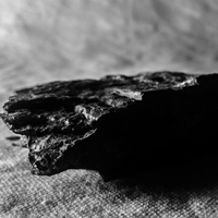 Avery Squid mat Rock Adhesif enlevable