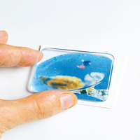 Easy dome rectangulaire Emblem 70mm x30 mm