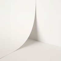 Papier Keaykolour Buckram Blanc 120 g/m² 700 mm x 1000 mm Paquet de 250 feuilles