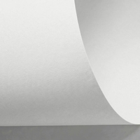 Papier Rives Design Bright White 350g/m² 700 mm x 1000 mm Paquet de 100 feuilles