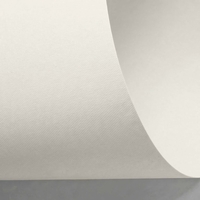 Papier Rives Design Natural White 250g/m² 700 mm x 1000 mm Paquet de 100 feuilles