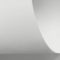 Papier Rives Laid Bright White 220g/m² 700 mm x 1000 mm Paquet de 100 feuilles