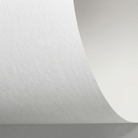 Papier  de création Sensation Linear Extra Blanc 120 g/m² 700 mm x 1000 mm
