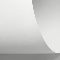 Rives Sensation Tactile Bright White 350g/m² 700mm x 1000mm