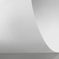 Rives Sensation Tactile 100% Recyclé 270 g/m² 700x1000 mm