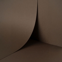 Papier Keaykolour Thé 300 g/m² 700 mm x 1000 mm Paquet de 100 feuilles