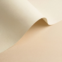 Papier Olin Colours Ivory 240g/m² 450mm x 640mm