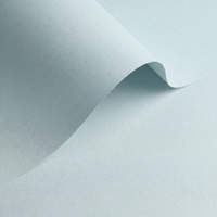 Papier Olin Colours Light Blue 90g/m² 450mm x 640mm