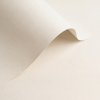 Papier Olin Colours Oyster 90g/m² 700mm x 1000mm