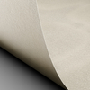 Papier Conqueror Laid Vellum avec filigrane 100g/m² 450mm x 640mm Paquet de 500 feuilles