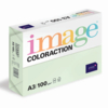IMAGE COLORACTION TINTS JUNGLE A3 100 GR