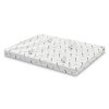 Raflatac Redata 80 pack flat right