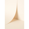 Papier Keaykolour Digital Snow White 120g/m² 750mm x 530mm Paquet de 250 feuilles