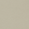 Papier Curious Metallics Eucalyptus 120  g/m²  700 mm x 1000 mm