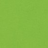 Papier couleur Pop'Set Virgin Pulp Pistache 170 g/m² 700 mm x 1000 mm