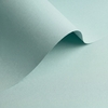 Papier Olin Colours Storm Grey 170g/m² 700mm x 1000mm
