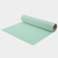 Flex universel en polyuréthane pour transfert à chaud 342 vert pastel  CHEMICA Hotmark Revolution